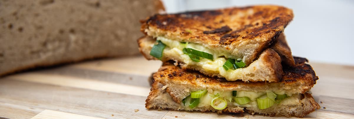 Toasted cheese sandwich, cut diagonally with the halves stacked on top of each other